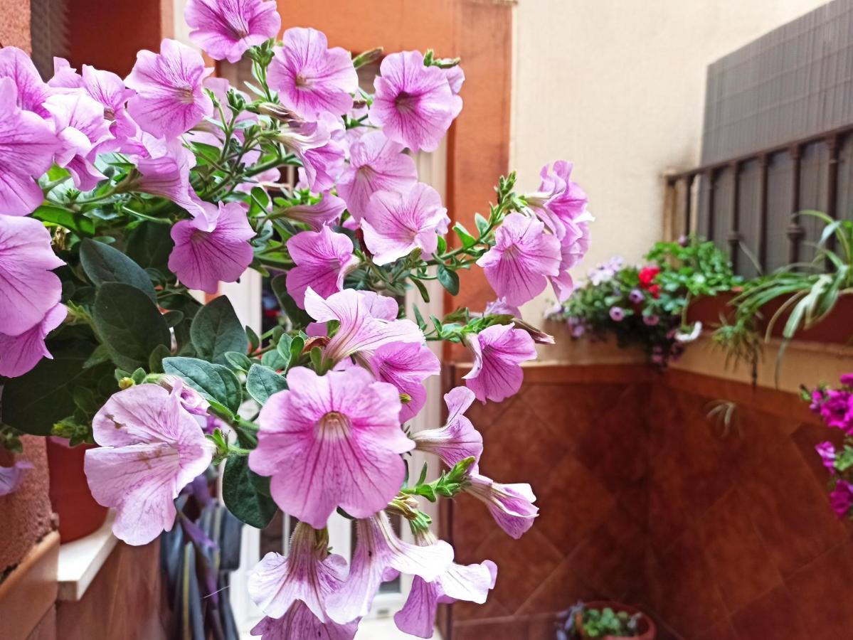 Apartamento La Reina Córdoba Buitenkant foto