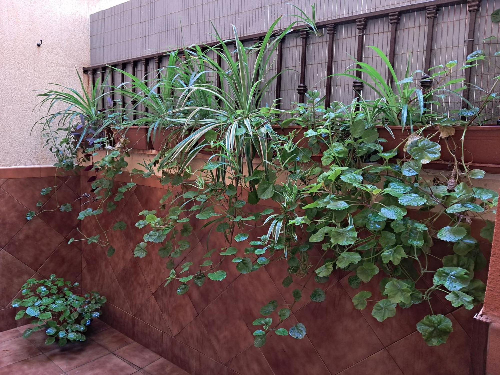 Apartamento La Reina Córdoba Buitenkant foto